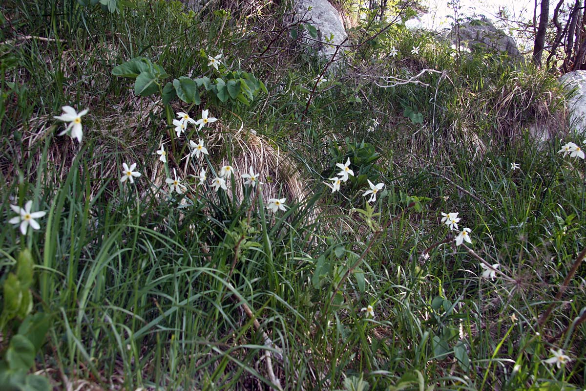 K 06.JPG